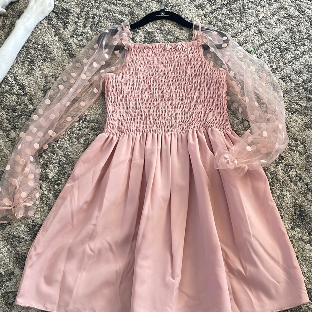 Sweet pink dress with sheer polka dot sleeves. Worn once (6/7)